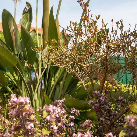 In Arcozelo With Private Pool Semesterbostad *