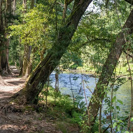 In Arcozelo With Private Pool Ponte de Lima