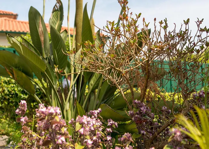 In Arcozelo With Private Pool Dom wakacyjny *