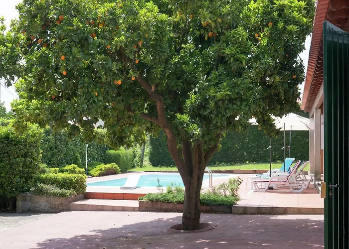 In Arcozelo With Private Pool Dom wakacyjny Ponte de Lima